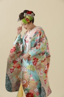 Ｎ228絢爛熨斗雪輪