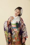 N210今紫花車牡丹