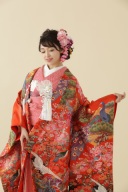 C22朱地孔雀若松