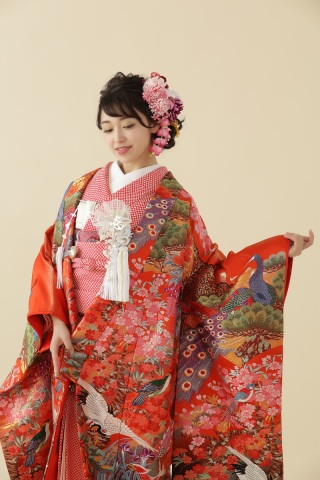 C22朱地孔雀若松