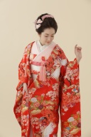 Ｈ10朱地紅葉鶴