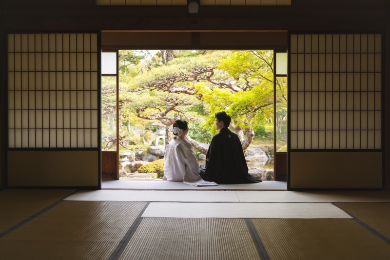 様々な背景で撮影を
