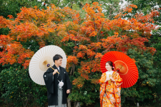 SOPHIA（ソフィア）