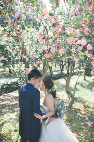 SOPHIA（ソフィア）