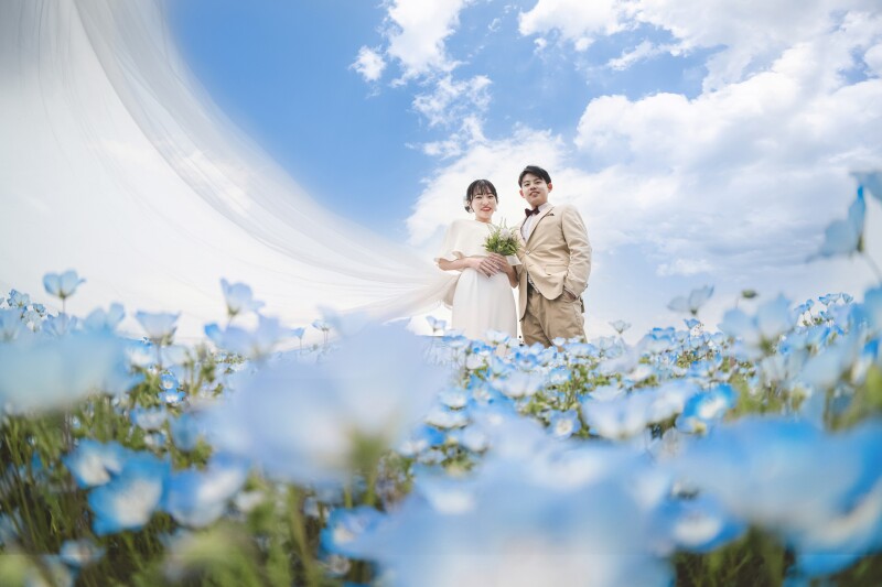 ネモフィラ畑で