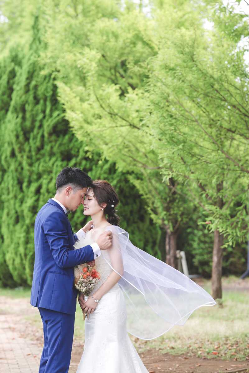 ドライフラワーとベール