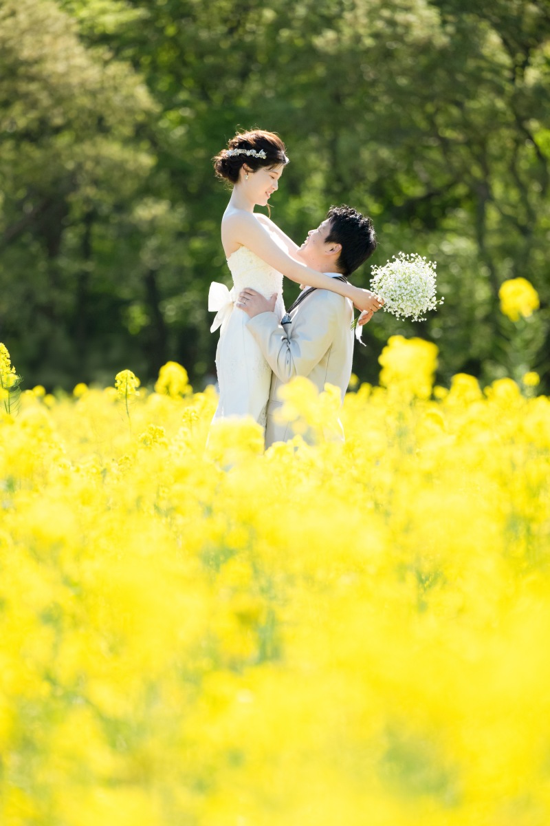 まばゆい黄色の菜の花に囲まれて