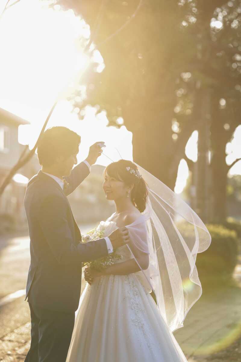 柔らかな雰囲気