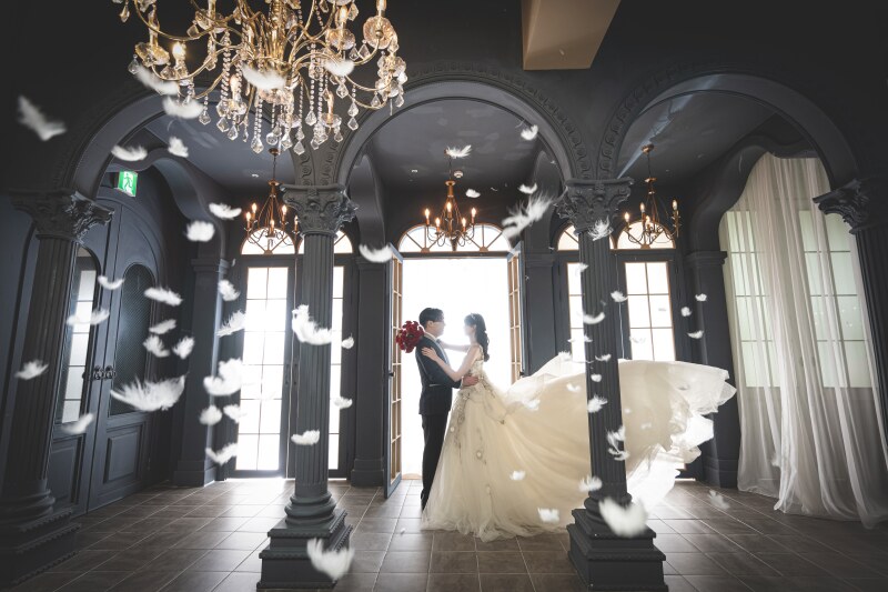 羽ばたく瞬間を、躍動感あふれる一枚に