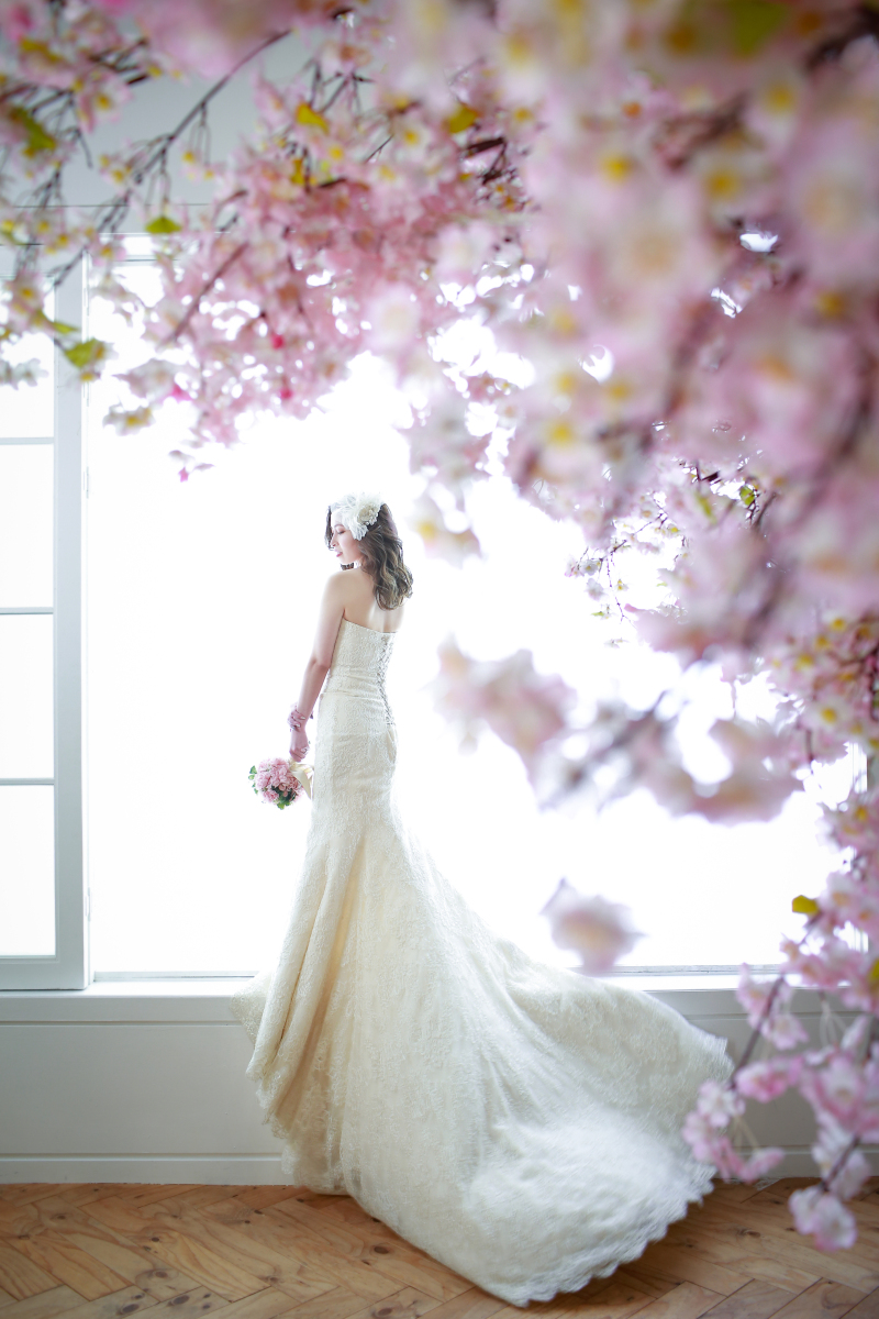 定番の桜ショット