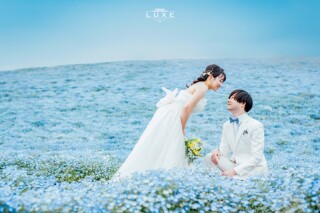BRIDAL PHOTO STUDIO LUXE -スタジオ リュクス-_Location 2