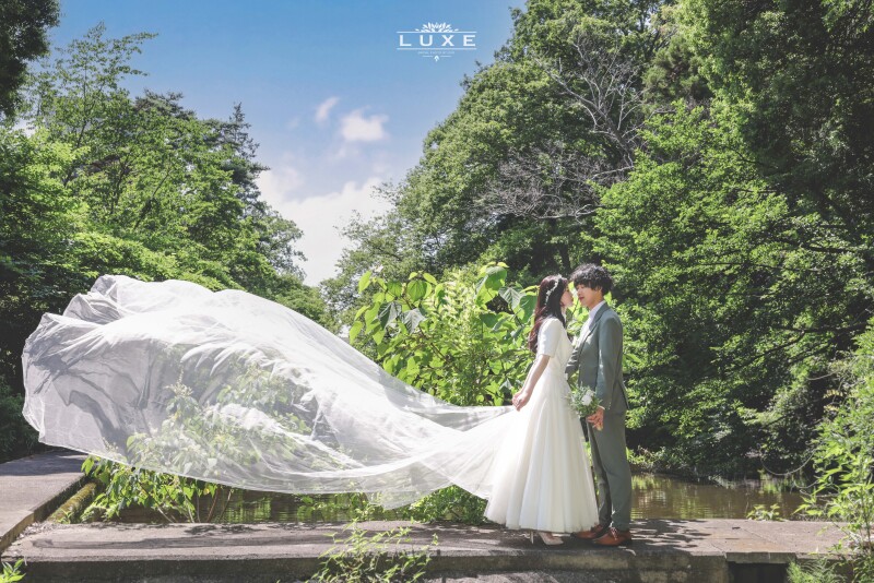 韓国ドレス100着以上が選び放題（追加料金なし）