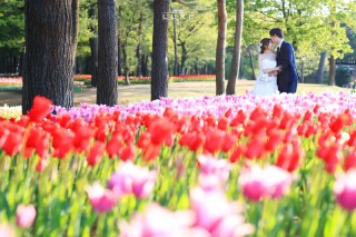 BRIDAL PHOTO STUDIO LUXE -スタジオ リュクス-_Location Photo3