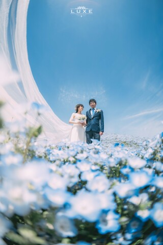 BRIDAL PHOTO STUDIO LUXE -スタジオ リュクス-_Location 2