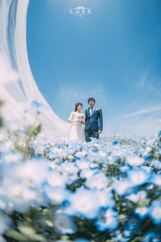 BRIDAL PHOTO STUDIO LUXE -スタジオ リュクス-_Location Photo3