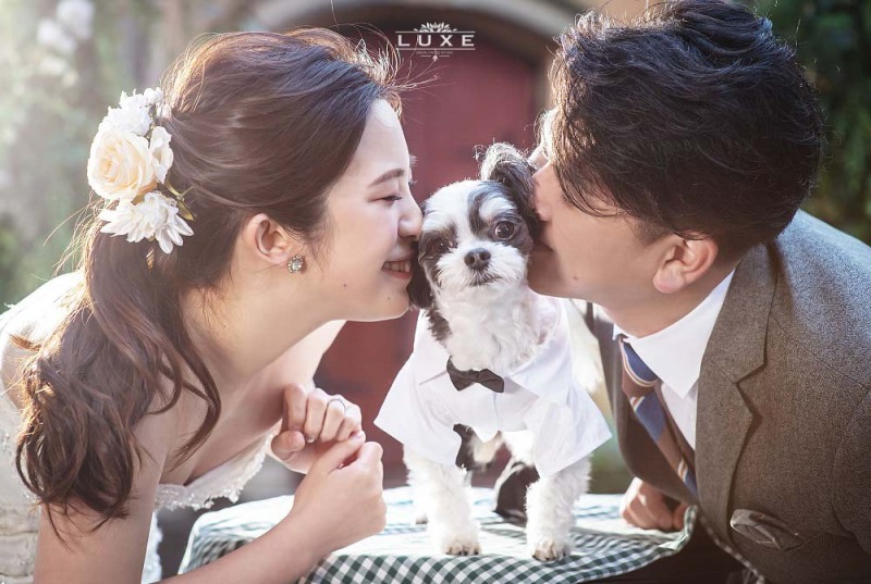 BRIDAL PHOTO STUDIO LUXE -スタジオ リュクス-_ペットと一緒に撮影できる