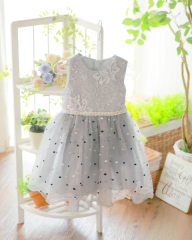 2-30dGY-U　グレードットチュール