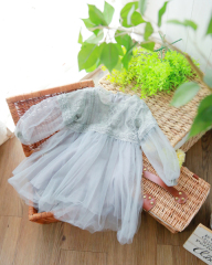 2-28dGY-U　グレーレース