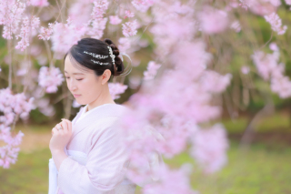 出張撮影　～桜～