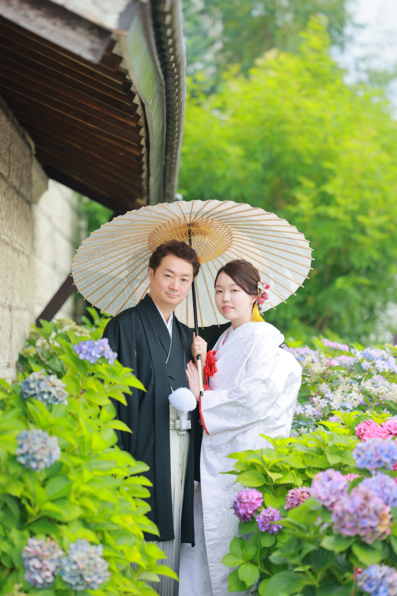 色とりどりの紫陽花の中で！