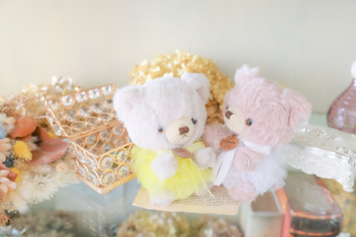 天使の森 宇都宮Bloom_お持ち込み小物