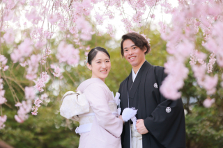 【桜のロケ-ション撮影】　●全データ付き！※お仕度やお衣装代は別途　※平日限定※