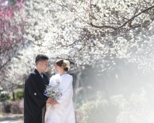 春の梅・桜ロケーションレポート♬