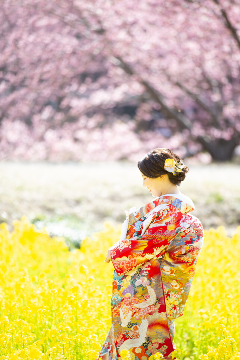 赤い色打掛が桜にぴったり♪