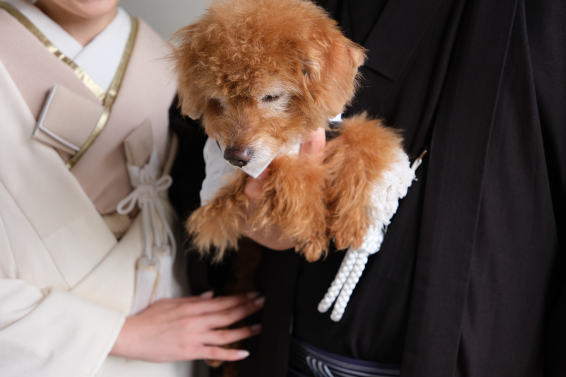 愛犬とのショット