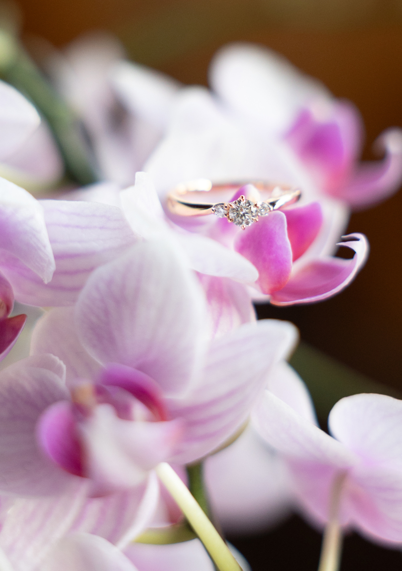 寺院ロケーション撮影