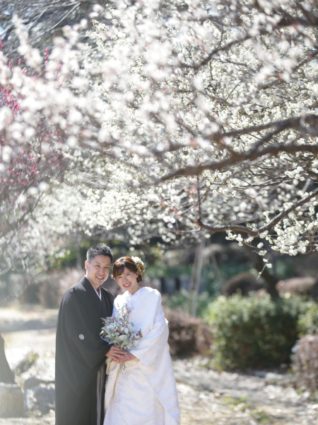 まるで桜のトンネルの中にいるかのよう…!