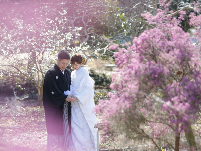 春はカラフルなお花がたくさん!