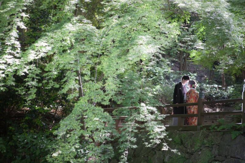 浜松城は緑でいっぱいの人気ロケーションスポット！