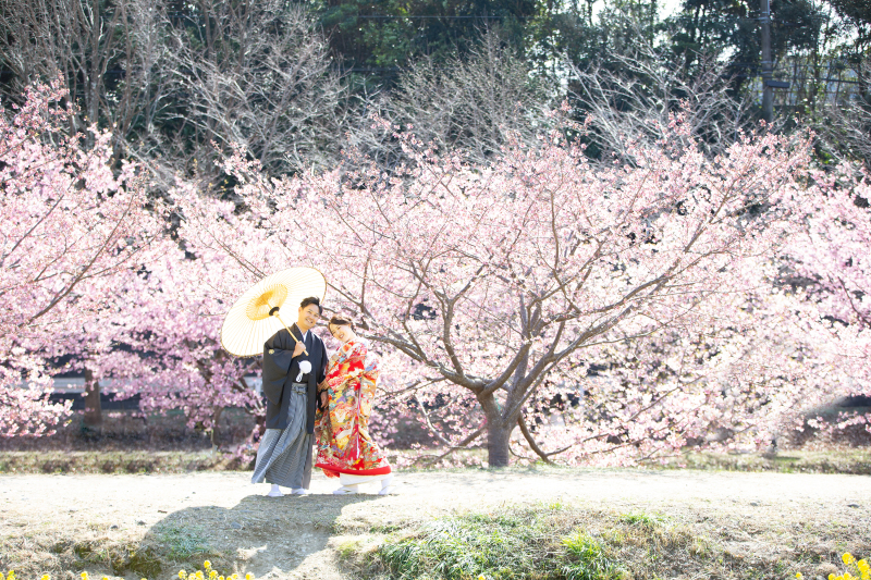 3月・4月は桜&菜の花でのロケーション撮影