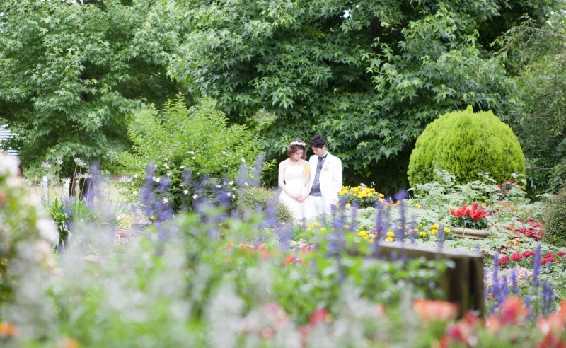 花と緑に囲まれて