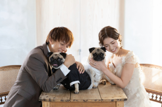 愛犬のパグと一緒にウェディングフォト