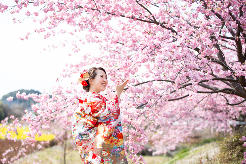 春は、桜や梅、菜の花など、お花が綺麗♪