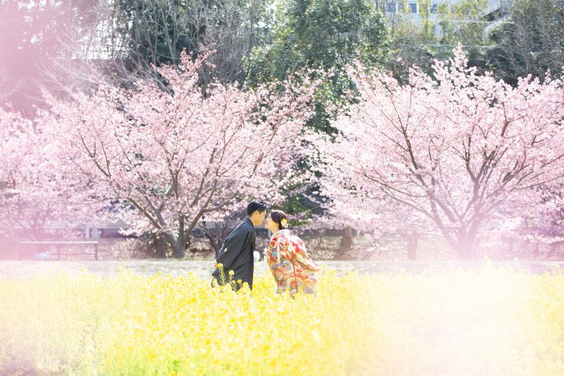 毎年予約が埋まりやすい桜ロケーション撮影