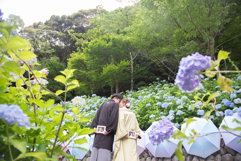 紫陽花と和装のコントラストがピッタリ！