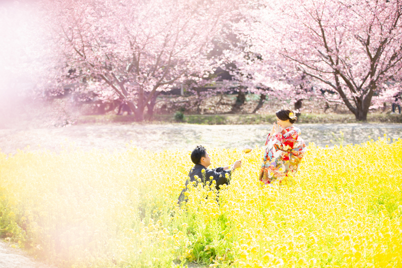 桜と菜の花をバックにプロポーズ再現