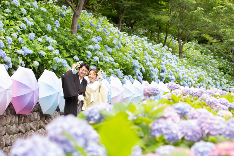 紫陽花と一緒にロケーション撮影♪　法多山