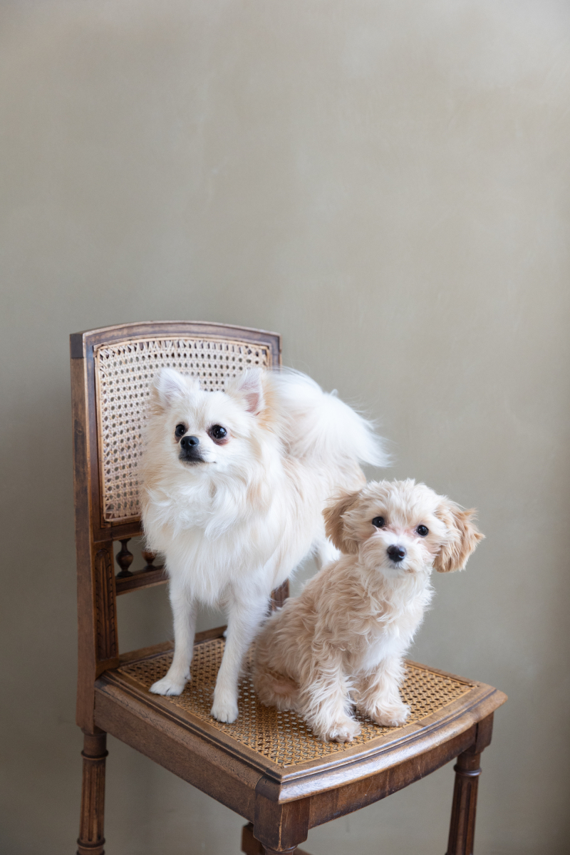 わんちゃんの2ショット☆