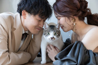 大好きな愛猫ちゃんとのブライダルフォト