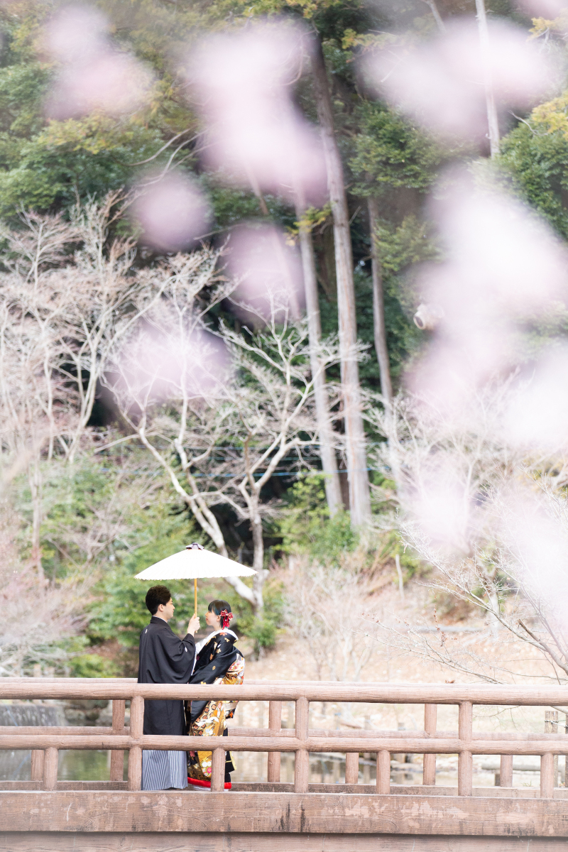 お外には桜も咲いててとても綺麗でした。