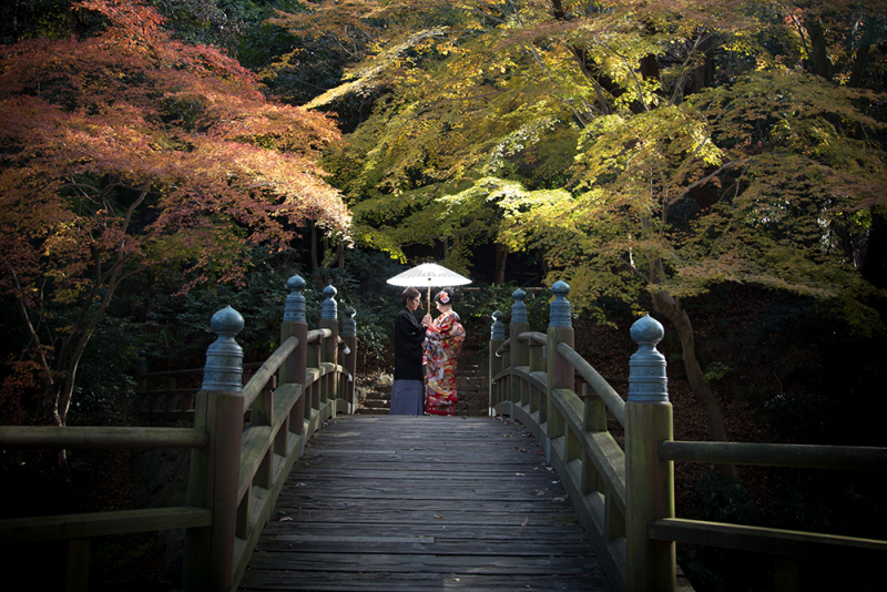 和装でもこんな感じに紅葉をライトアップすることも