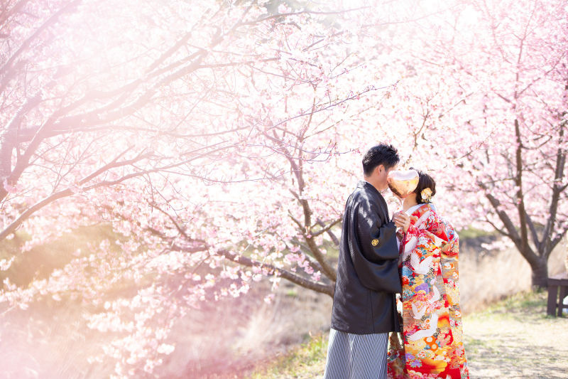 「新春」和装で桜&菜の花ロケーション撮影承り中♪