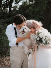 シイキ写真館　Shiiki wedding　