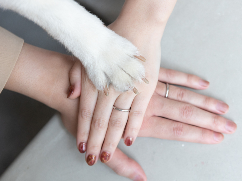 シイキ写真館　amu wedding　_ペットと一緒に撮影できる