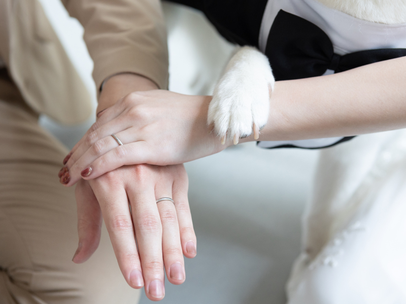 スタジオ・ロケどのプランでもOK