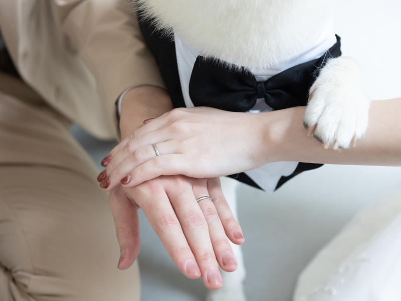 シイキ写真館　amu wedding　_ペットと一緒に撮影できる